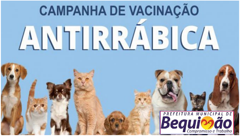 Foto de Prefeitura de Bequimão inicia Campanha de Vacinação Antirrábica
