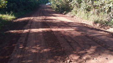 Foto de Prefeitura de Bequimão intensifica recuperação da estrada que liga o povoado Floresta a Santana