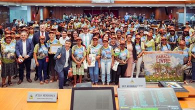 Foto de Assembleia homenageia quebradeiras de coco babaçu em sessão solene